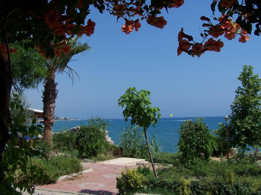 Guven Hotel Alanya Eksteriør billede